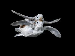 Karya Mencengangkan Finalis Ocean Photographer of The Year 2024