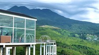 Keajaiban Jembatan Kaca Transparan Pemisah Kebun Teh dan Langit