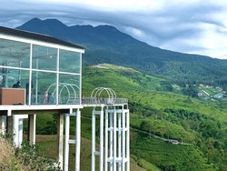 Ulasan Kemuning Sky Hills 2025, Pemandangan Stunning di Tengah Kebun Teh
