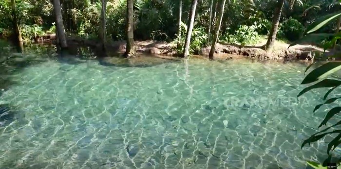 Pemandangan kejernihan air di Kali Odo.