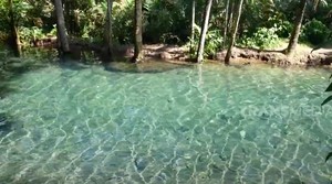 Unik! Wisata Kali Odo Gedangan, Sungai yang Mengalir saat Kemarau
