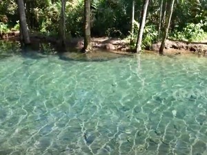 Unik! Wisata Kali Odo Gedangan, Sungai yang Mengalir saat Kemarau