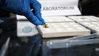 Petugas melakukan uji laboratorium terhadap barang bukti narkoba yang akan dimusnahkan.