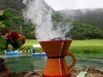 Kenapa Sumut Jadi Penghasil Kemenyan Terbaik di Dunia? Ini Alasannya