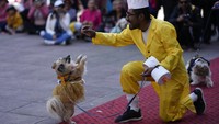 Setelah pemilik anjing mengikuti misa, hewan peliharaan mereka diberkati dengan air suci.