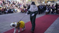 Anjing-anjing dan para pemilik mereka berkumpul di La Paz, ibu kota Bolivia untuk merayakan hari Santo Roch, santo pelindung anjing.