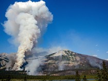 Penampakan Taman Nasional Jesper di Kanada Gundul Dilalap Api