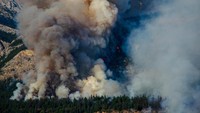 Api membakar lahan di Taman Nasional Jasper. Kerugian Taman Nasional Jasper akibat kebakaran menurut pejabat setempat terbilang signifikan. (REUTERS/L Neufeld/Parks Canada)