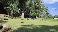 Lapangan Ledok Sambi untuk bermain bisa juga untuk camping