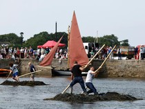 Unik, Ada Lomba Balap Rumput Laut di Irlandia
