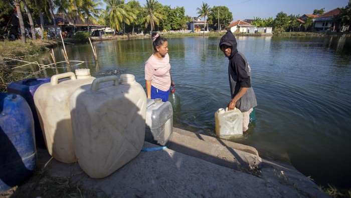 Warga mengambil air menggunakan jeriken di kolam Desa Tamansari, Indramayu, Jawa barat, Selasa (20/8/2024). Saat musim kemarau warga memanfaatkan air kolam tersebut untuk memenuhi kebutuhan sehari-hari seperti mandi, memasak dan air minum. ANTARA FOTO/Dedhez Anggara/nym.