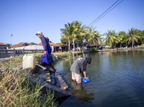 Air Kolam Jadi Andalan Warga Indramayu Saat Musim Kemarau