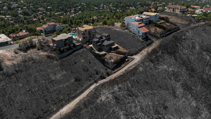 Foto Udara Lahan Hangus Imbas Kebakaran Hutan di Pinggiran Athena A drone view shows a charred forest area following a wildfire, in Marathon, near Athens, Greece, August 14, 2024. REUTERS/Stelios Misinas