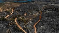 Kebakaran hutan telah menjadi ciri umum musim panas di Yunani selama bertahun-tahun, tetapi perubahan iklim telah membawa cuaca yang lebih panas dan lebih sedikit hujan, sehingga meningkatkan risiko.