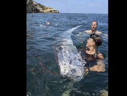 Ikan Hari Kiamat Muncul, Ini Mitos Seram di Baliknya