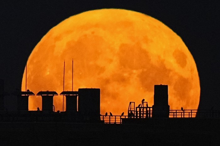 A supermoon rises over a residential building in Moscow, Russia, Monday, Aug. 19, 2024. (AP Photo/Pavel Bednyakov)