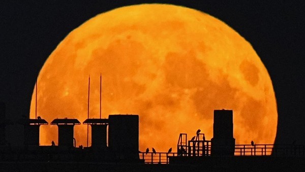 Lihat Lagi Indahnya Supermoon Hiasi Langit Bumi