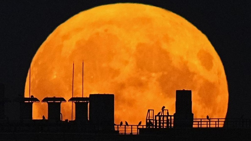 A supermoon rises over a residential building in Moscow, Russia, Monday, Aug. 19, 2024. (AP Photo/Pavel Bednyakov)