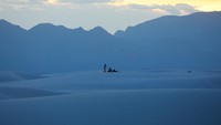 Taman Nasional White Sands memiliki pasir yang sangat putih, bahkan mirip dengan gundukan salju. Bukit pasirnya pun sangat besar sehingga terlihat seperti ombak putih raksasa. 