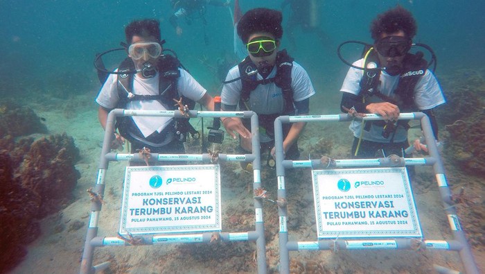 Pelindo Peti Kemas