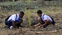 Pelajar menanam bibit pohon Sagu di Dusung Sagu Bityai Pai Sabron Yaru, Kabupaten, Jayapura, Papua, Selasa (20/08/2024).  