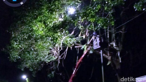 Perbaikan Lampu Penerangan Jalan Umum (PJU) di Jalan Jayanti, tepatnya di lokasi Cagar Alam Tangkuban Parahu, Palabuhanratu, Kabupaten Sukabumi
