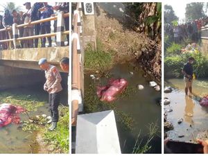Dua Pembunuh Pria Terbungkus Seprai di Lampung Ditangkap, Ternyata Pasutri