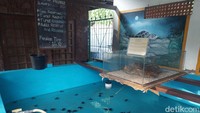 Setelah telur-telur menetas, mereka pun dipindahkan ke dalam kolam-kolam dan dirawat di sana. Setelah 2-3 bulan, barulah tukik ini dilepaskan ke laut.