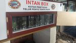 Foto: Melihat Penangkaran Penyu di Bali Utara