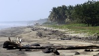 Tumpahan minyak yang diduga berasal dari kilang El Palito Venezuela telah mencemari wilayah perairan teluk di lepas pantai utara-tengah Laut Karibia.  