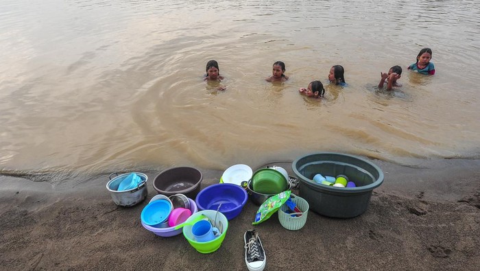 Sumur Mengering, Warga Muaro Jambi Manfaatkan Sungai yang Keruh Seorang warga memberi minum sapi di Sungai Batanghari yang keruh, Desa Sarang Burung, Muaro Jambi, Jambi, Senin (19/8/2024). Ratusan kepala keluarga di desa tersebut terpaksa memanfaatkan air Sungai Batanghari yang keruh untuk keperluan mandi, cuci, dan kakus akibat keringnya sumur warga sejak sebulan terakhir. ANTARA FOTO/Wahdi Septiawan/tom.