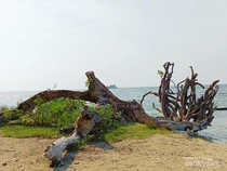 Pesona Kepulauan Seribu: Pantai Cantik hingga Benteng Bersejarah