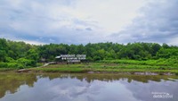 Area konservasi lokasi penanaman pohon di Kampung Blekok