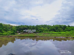 Kampung Blekok, Sajikan Panorama Burung dan Rumahnya Oleh-oleh Indonesia