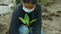 Pengunjung bisa menanam pohon di area konservasi