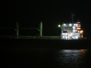 Ada Dugaan Kasus Mpox, Argentina Karantina Kapal Kargo Liberia
