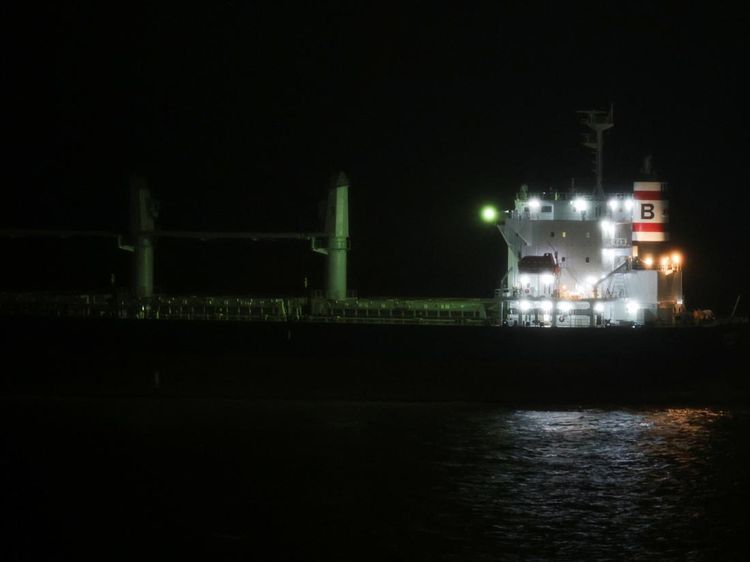 Ada Dugaan Kasus Mpox, Argentina Karantina Kapal Kargo Liberia