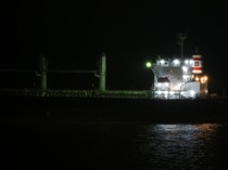 Ada Dugaan Kasus Mpox, Argentina Karantina Kapal Kargo Liberia