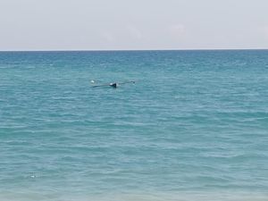 Pria Amfoang Kupang Ditemukan Tewas Dalam Perahu di Tengah Laut