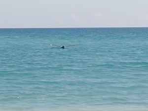 Pria Amfoang Kupang Ditemukan Tewas Dalam Perahu di Tengah Laut