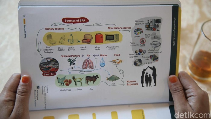 Perlu Tahu, Ini yang Terjadi Ketika Tubuh Terpapar BPA