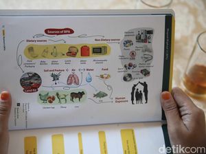 Perlu Tahu, Ini yang Terjadi Ketika Tubuh Terpapar BPA