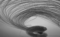 Black and White Photo Awards 2024