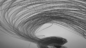Penghargaan Khusus untuk Kreativitas, SSD SanDisk Professional PRO-G40 (2 TB), dimenangkan oleh László Tóth, untuk fotonya bertajuk Spiral ke menara. Sebuah tangkapan di mana teknik dan kreativitas fotografer bercampur, membuatnya menjadi salah satu pemenang utama kontes foto ini. Foto: Black and White Photo Awards
