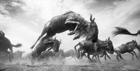 Black and White Photo Awards 2024
