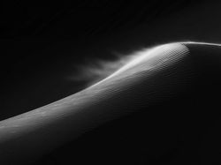 Karya Jawara Kontes Foto Hitam Putih Pukau Mata