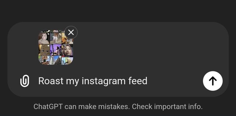 ChatGPT roast my Instagram feed.