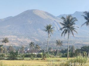 Kebakaran Gunung Guntur Garut Padam di Hari Ke-4, 200 Hektare Lahan Hangus