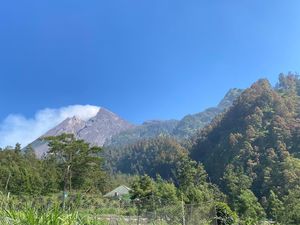 Racun Pendakian Ilegal Gunung Merapi Ternyata Bersumber dari TikTok