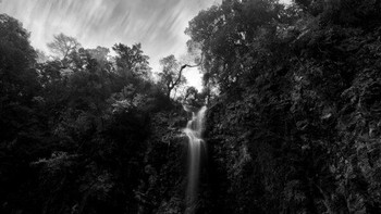 Stream foto karya Shinya Itahana dari Jepang terpilih sebagai juara satu kategori Nature. Foto ini diambil menggunakan iPhone 15 Pro. Foto: Shinya Itahana/iPhone Photography Awards 2024